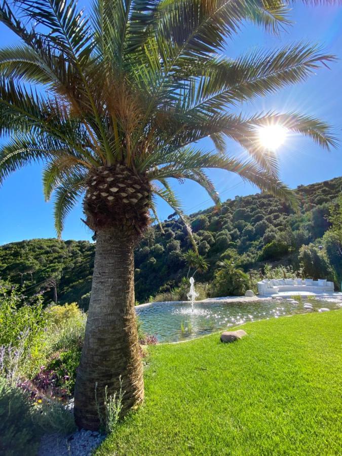 Ibiza Style Barcelona Luxury Villa Badalona Eksteriør billede
